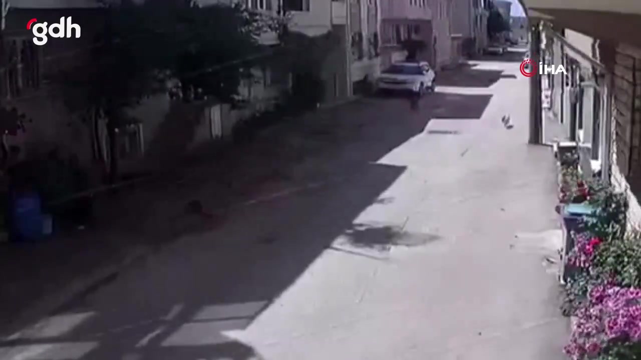 Bursa'da 3 çocuğu ısıran köpeğe polis müdahale etti anlar