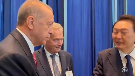 Erdoğan, Niinisto ve Suk-yeol’u tanıştırdı