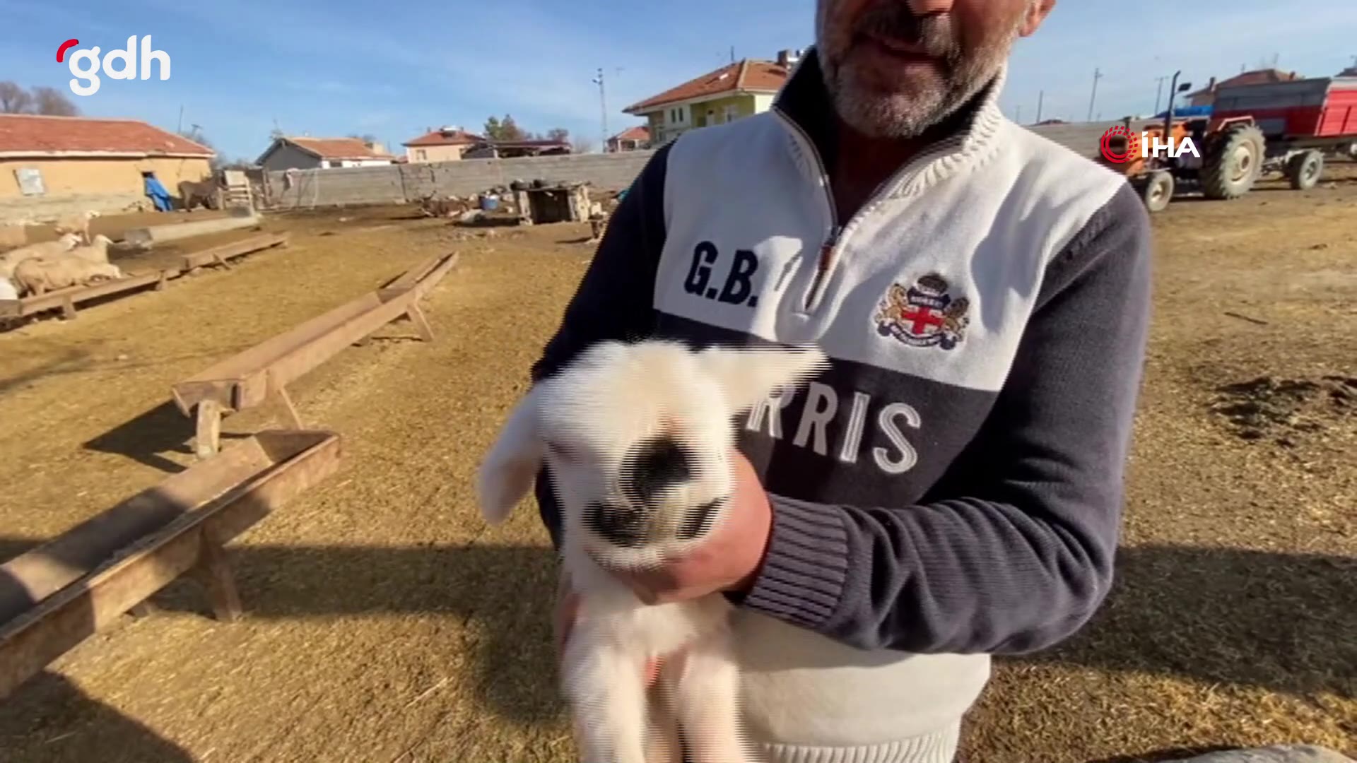 Kulu'da sol gözü olmayan ve anormal çeneli kuzu şaşırttı