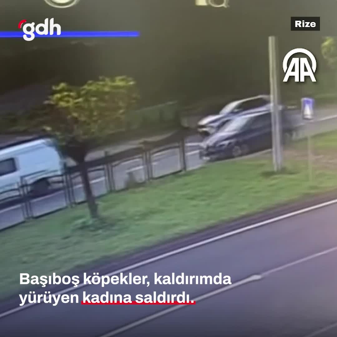 Rize'de başıboş köpek kadın saldırdı, yardımseverler devrede