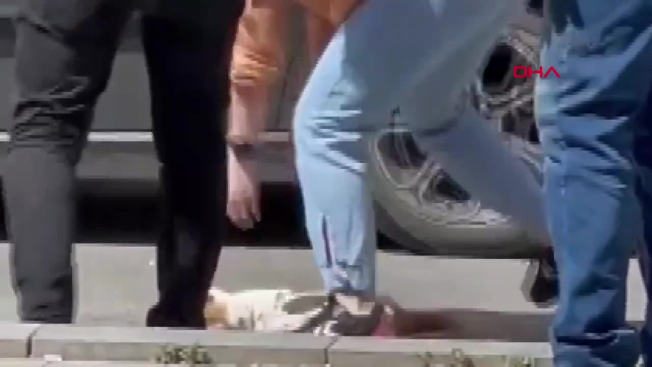 Yaralı kedi, Cansu Ünal’ın kalp masajıyla hayata döndü