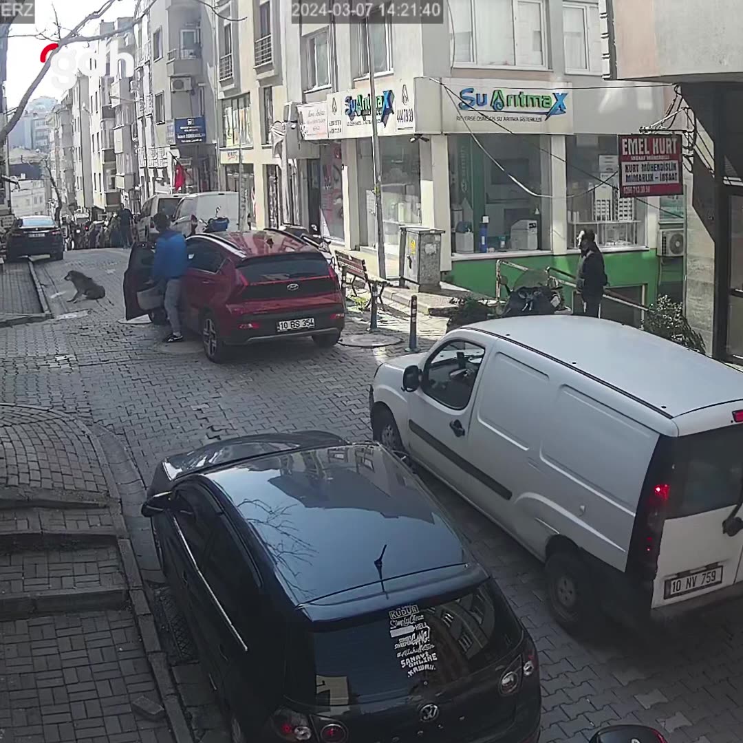 Bandırma'da taksi, yol üzerinde yatan köpeği ezdi; şoföre ceza