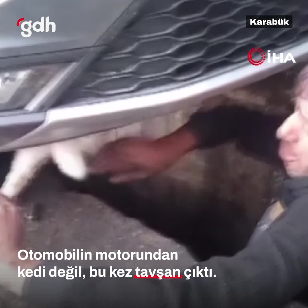 Karabük'te otomobilin motorundan tavşan çıktı!