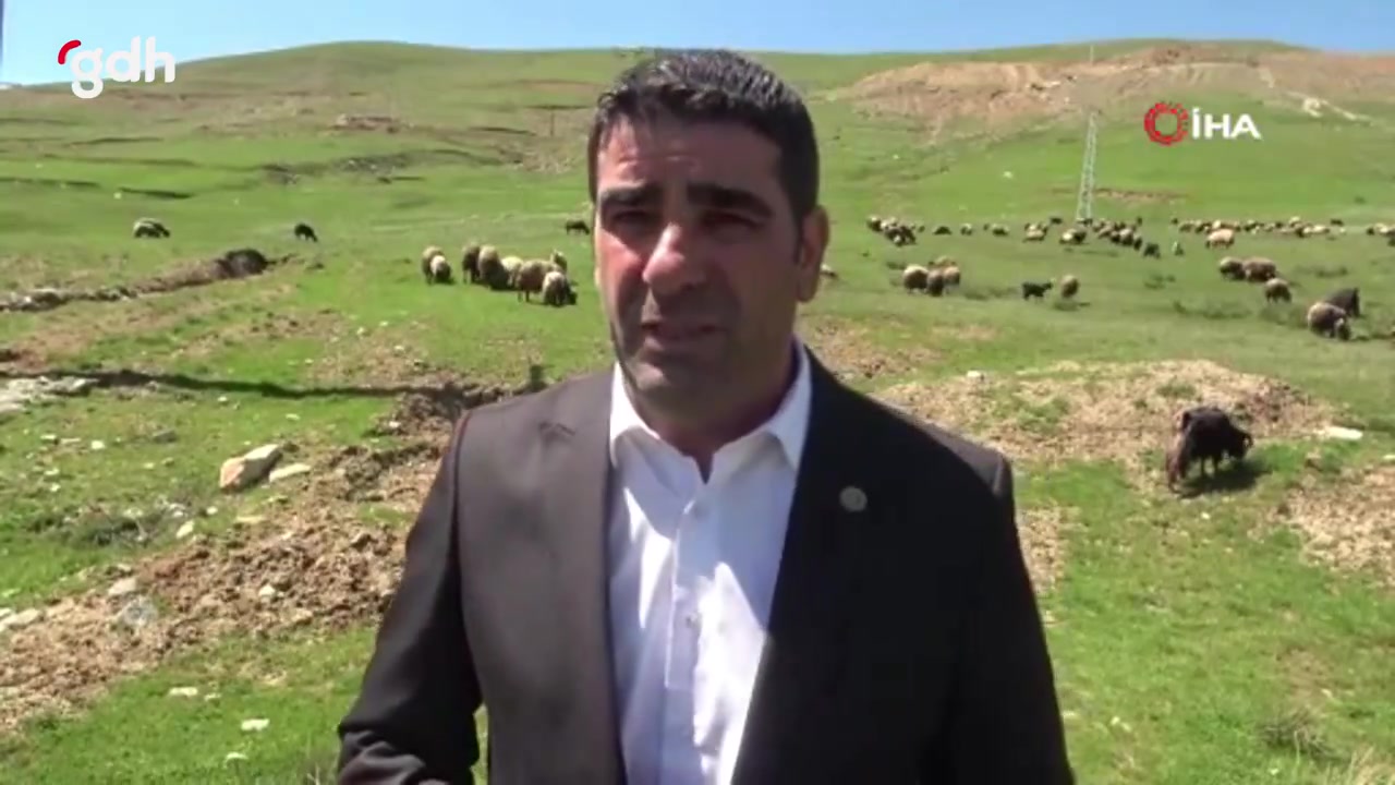 Muş'ta besiciler, 40 bin lira maaşa çoban bulamıyor