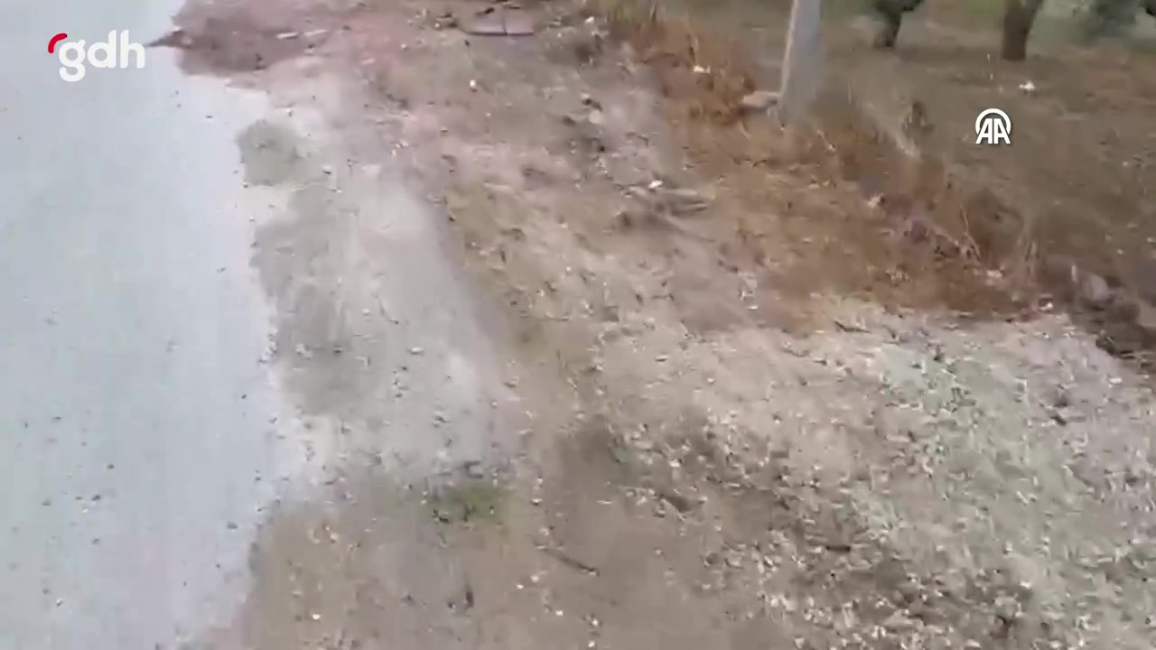 Sakarya'da çantası köpek tarafından çalındı, jandarmaya başvurdular