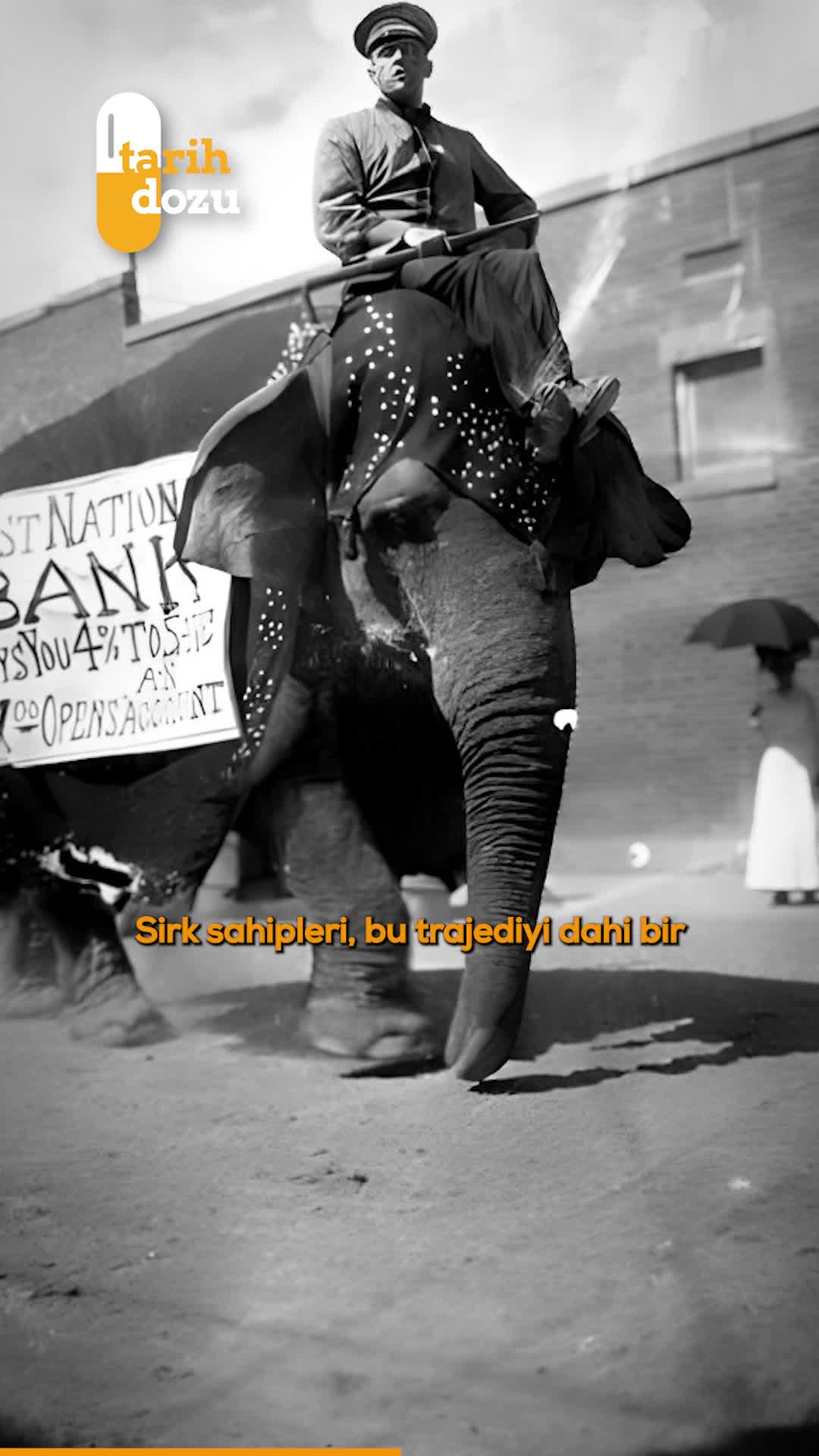Tarihte asılarak öldürülen ilk fil Mary'nin ilginç hikayesi