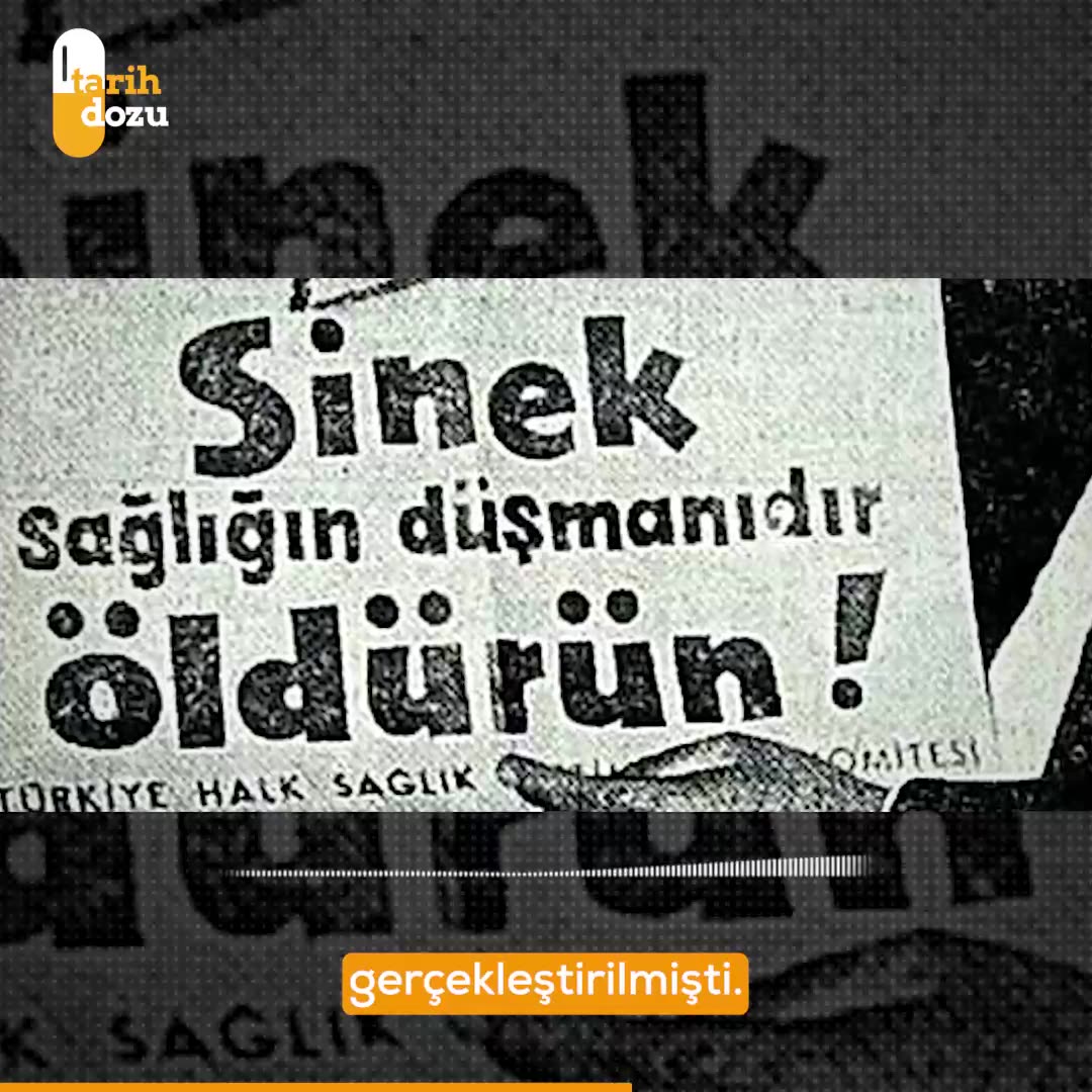 İstanbul'un 1959 Sinek Avı Projesinin İlginç Hikayesi