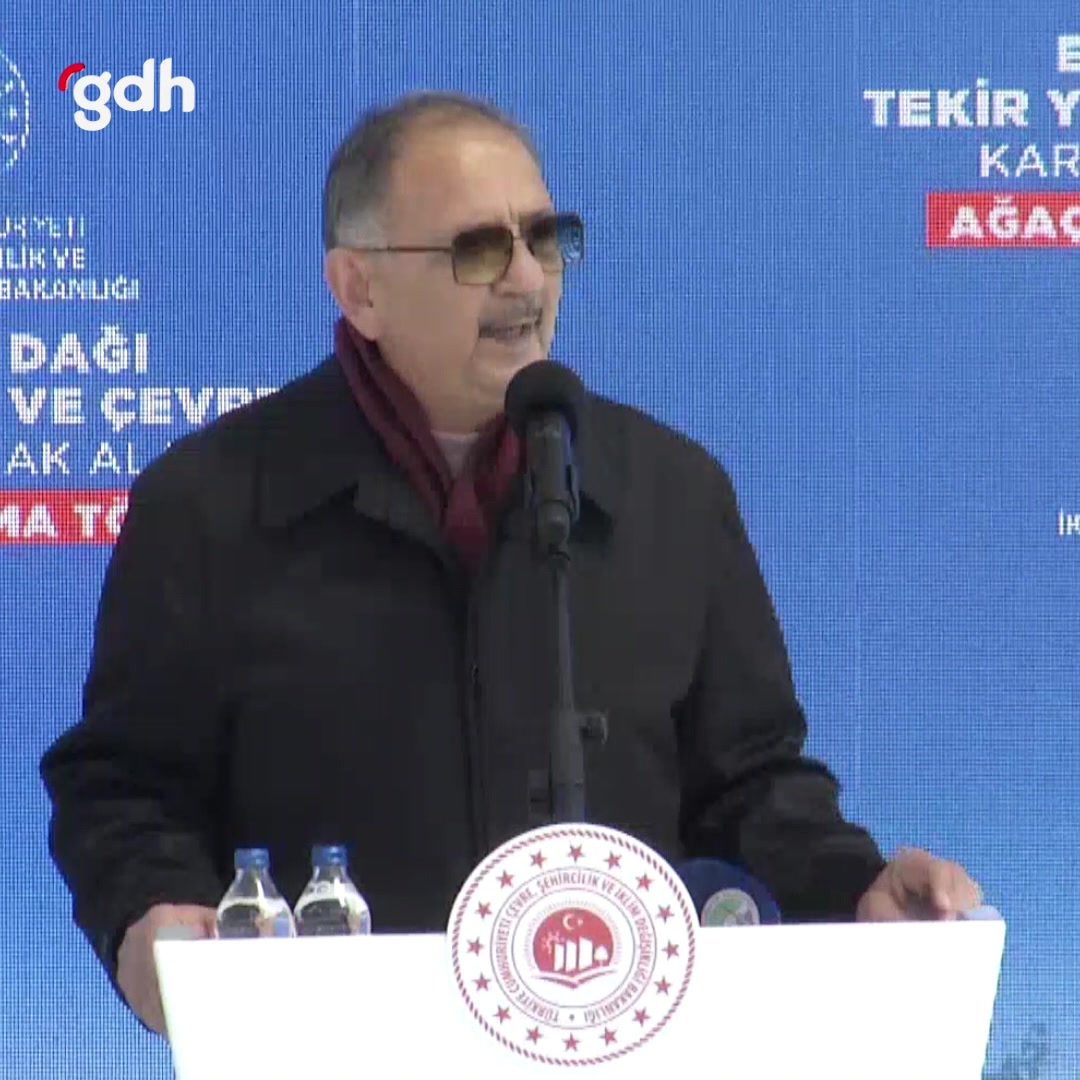 Anadolu'yu talan ettik, ağaç ve ormanlarımız yok oldu