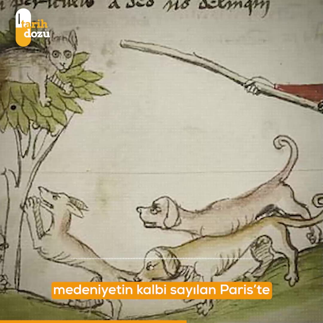 Orta Çağ Avrupa'sında şeytan yüzünden katledilen kediler