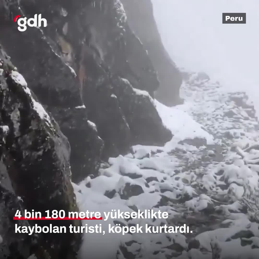 Peru'da kaybolan İngiliz turist köpekle kurtarıldı!