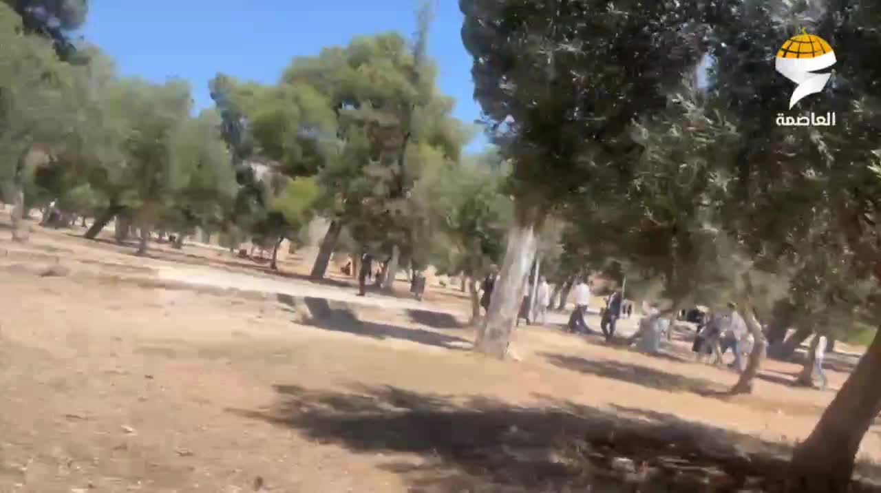 İşgalci Yahudi yerleşimciler, Mescid-i Aksa'ya baskın yaptı