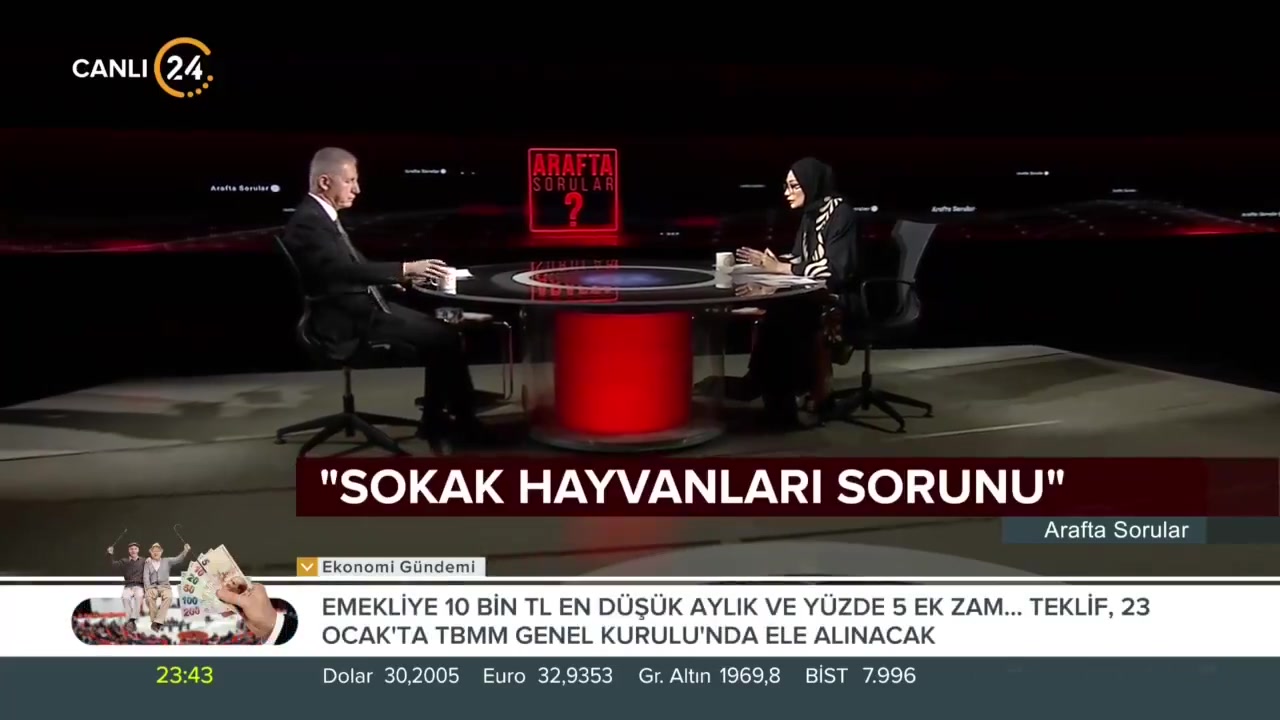 İstanbul Valisi: Başıboş köpek sorununa iki çözüm var!