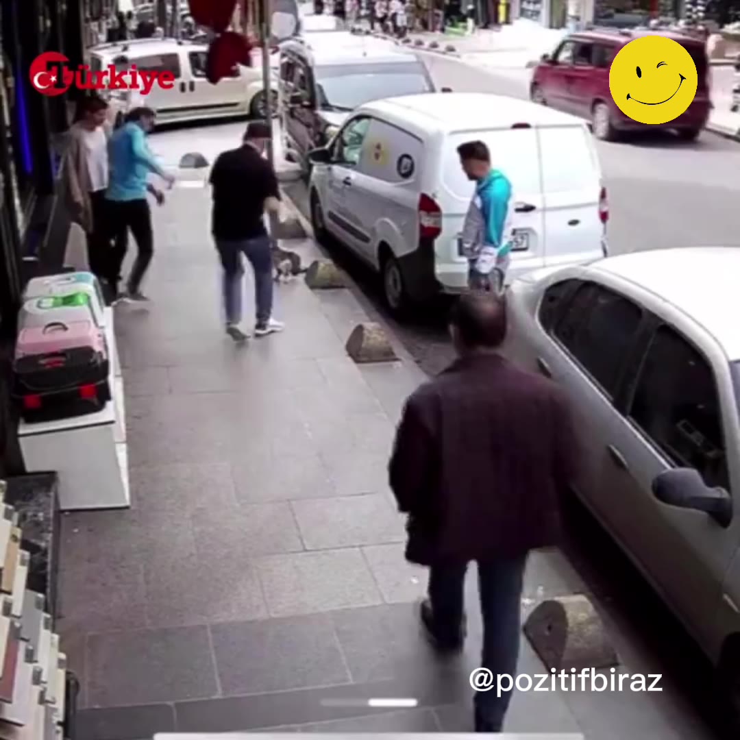 İstanbul'daki "Yedi Bela Hüsnü" kedisi sosyal medyayı salladı!