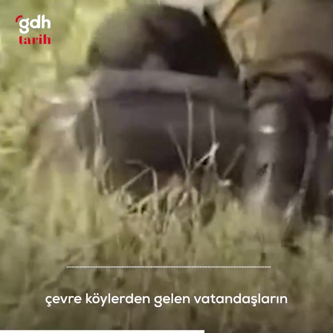 Diyarbakır Sur'daki 16 şehitli terör saldırısının hikayesi