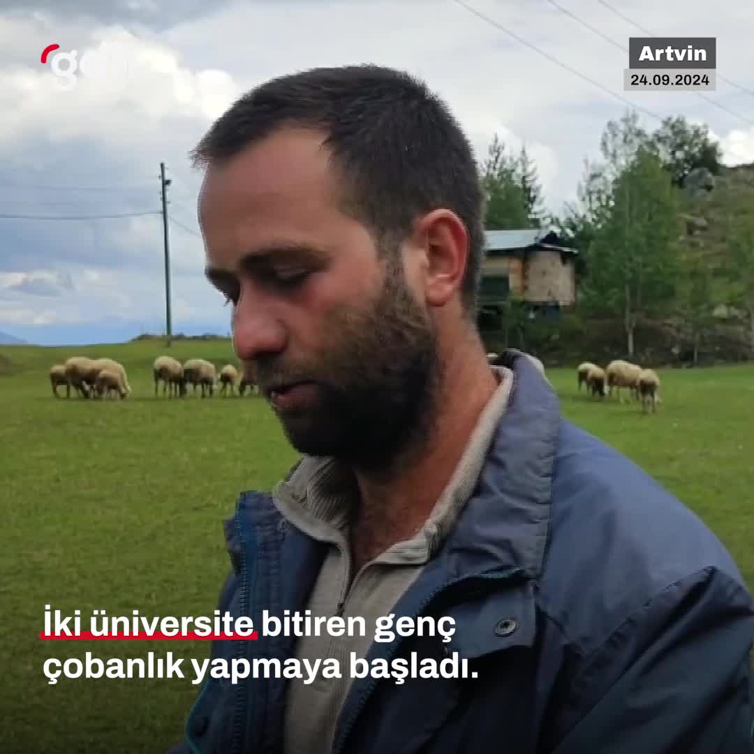 Hayali kaymakam olan iki mezun, Artvin'de çobanlık yapıyor