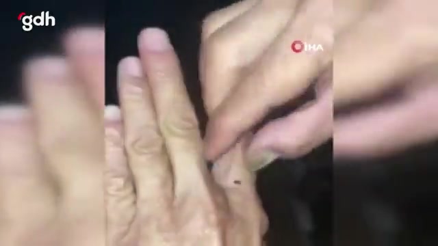 Mersin-İstanbul otobüsünde tahta kurusu paniği yaşandı