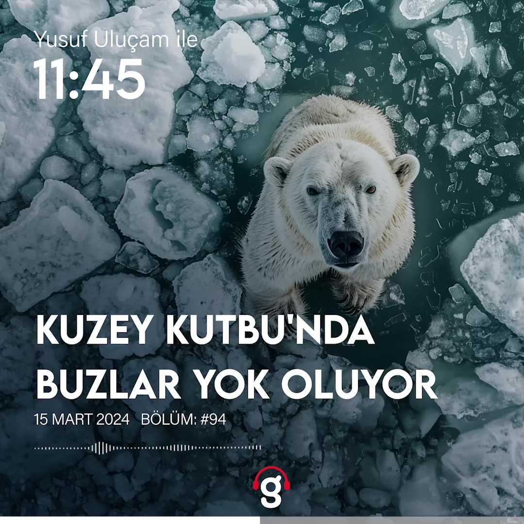 Kuzey Kutbu’ndaki buzların yok oluşu ve etkileri üzerine analiz