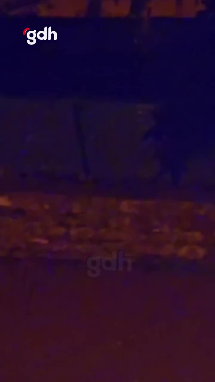 Giresun'da başıboş köpek kadını ağır yaraladı