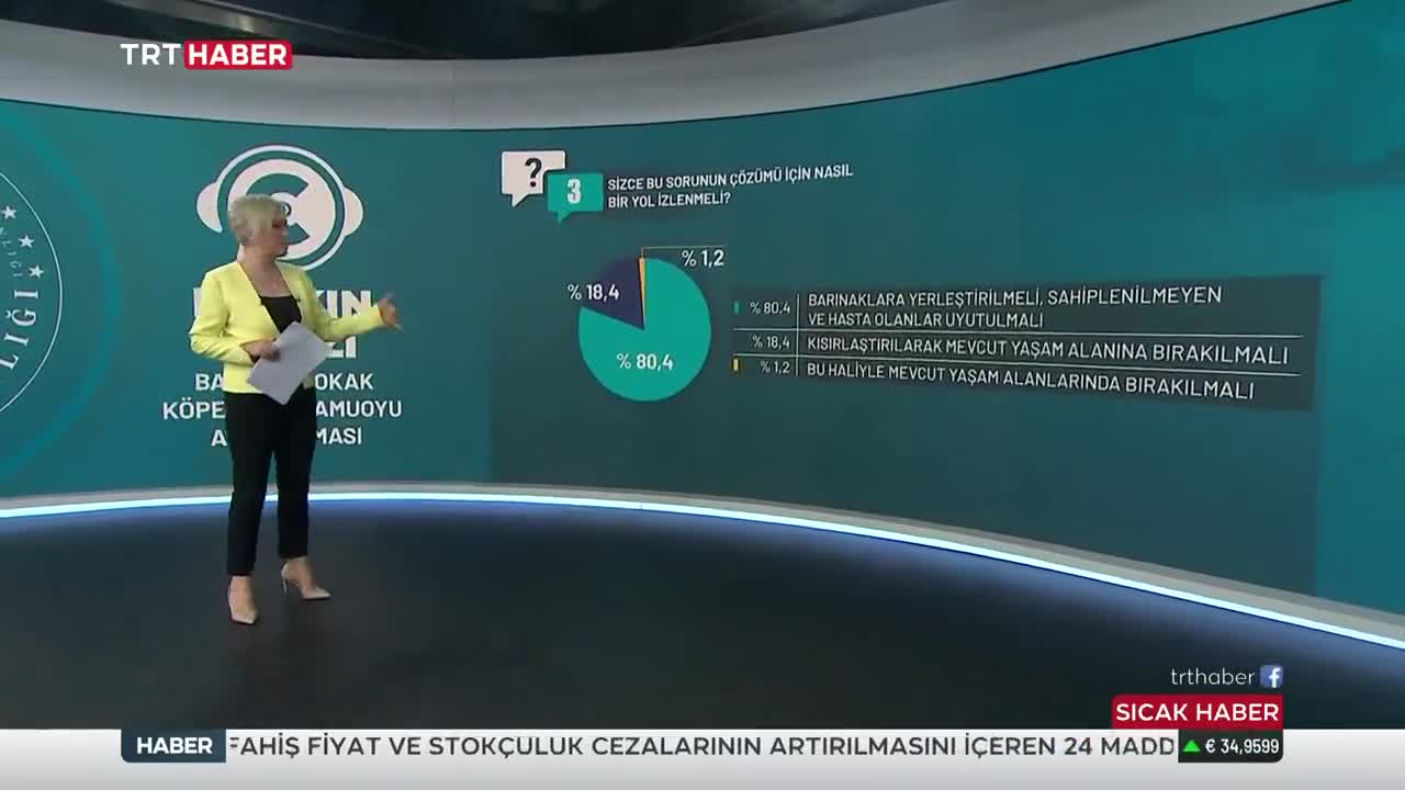 Başıboş sokak köpekleriyle ilgili kamuoyu araştırması sonuçları