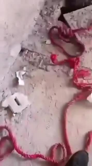 Sednaya Cezaevi'nde idam edilen mahkumların cesetleri ezildi