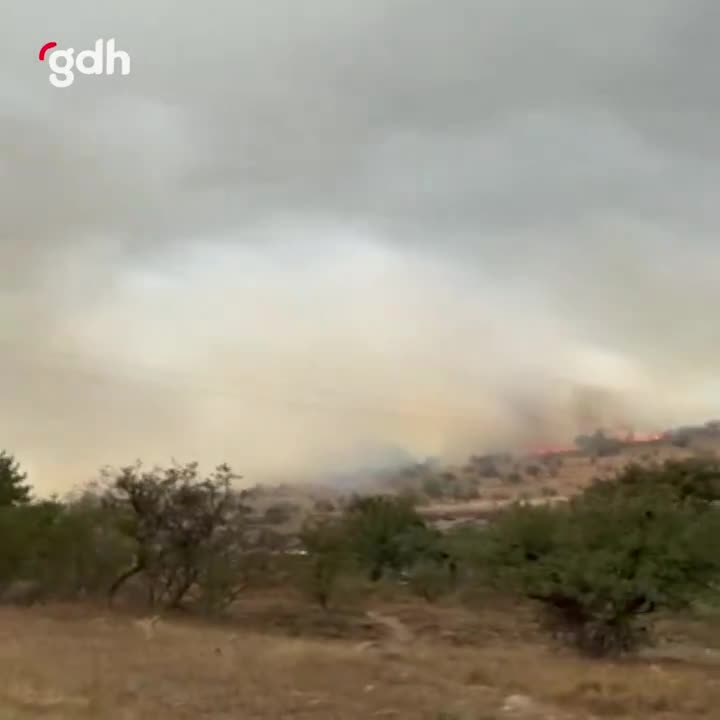 Ankara Şahinler Köyü'nde orman yangını, Demirler Köyü'ne sıçradı