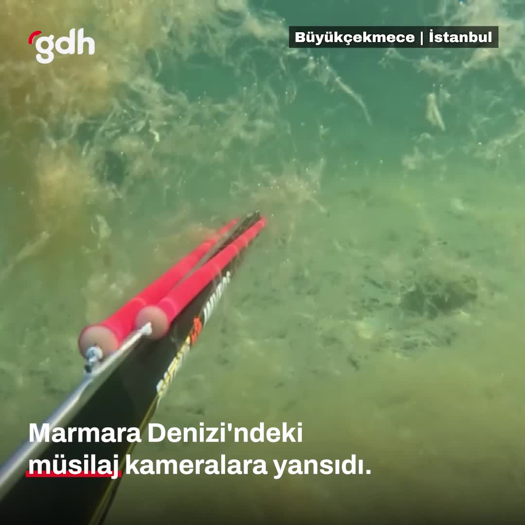 İstanbul'da müsilaj deniz altı kamerasına yansıdı