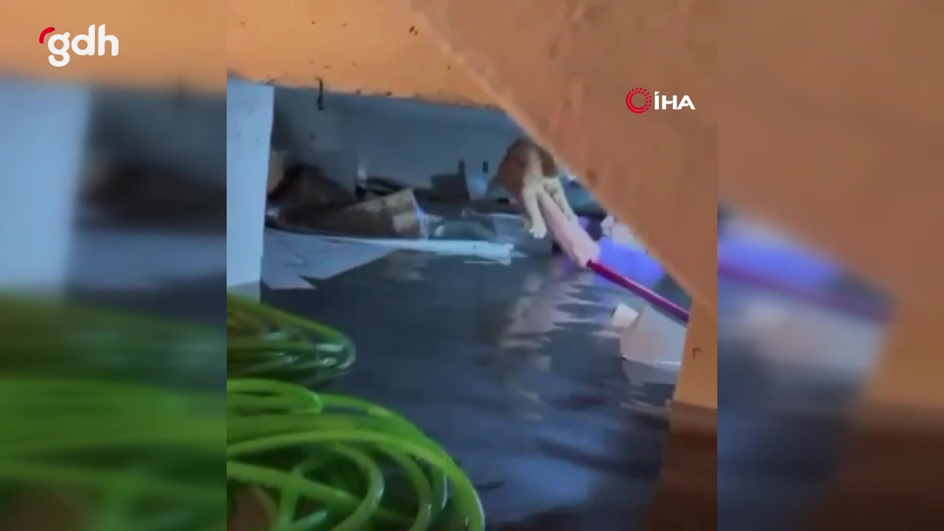 Antalya'da AFAD gönüllüsü kadın, suya mahzur kediyi kurtardı
