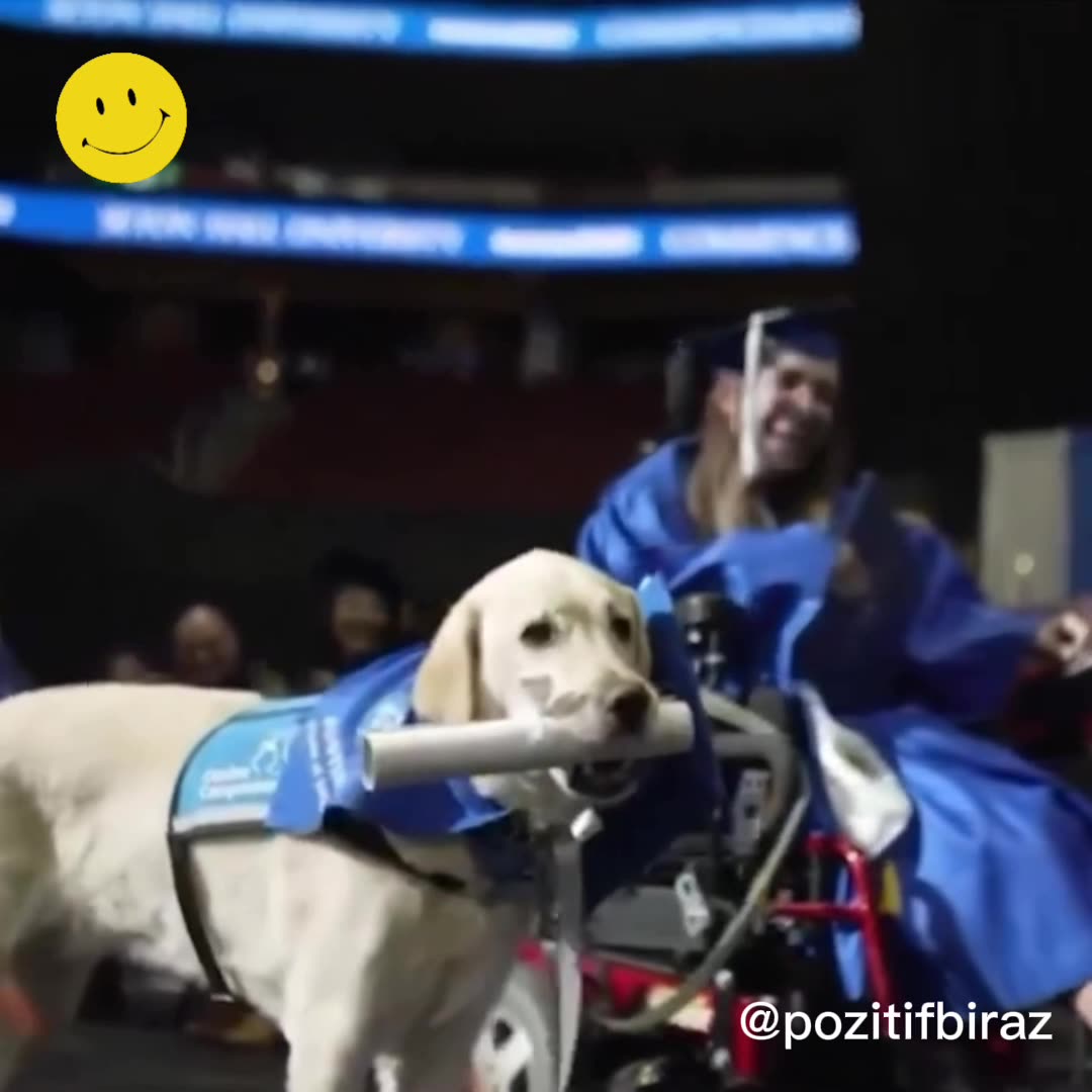 Köpek, engelli sahibiyle üniversiteden onur diploması aldı
