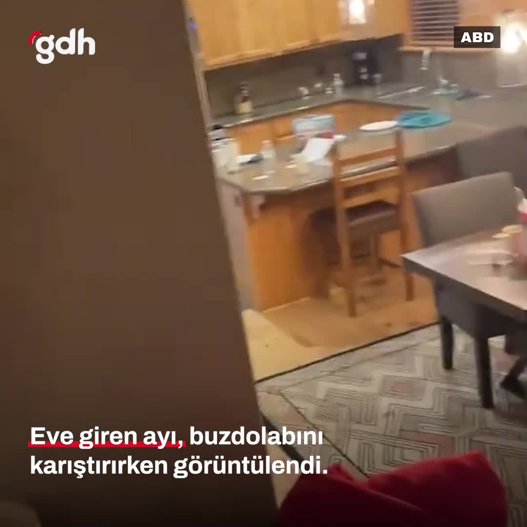 Ayı, ABD'de evde buzdolabını karıştırıp gitti