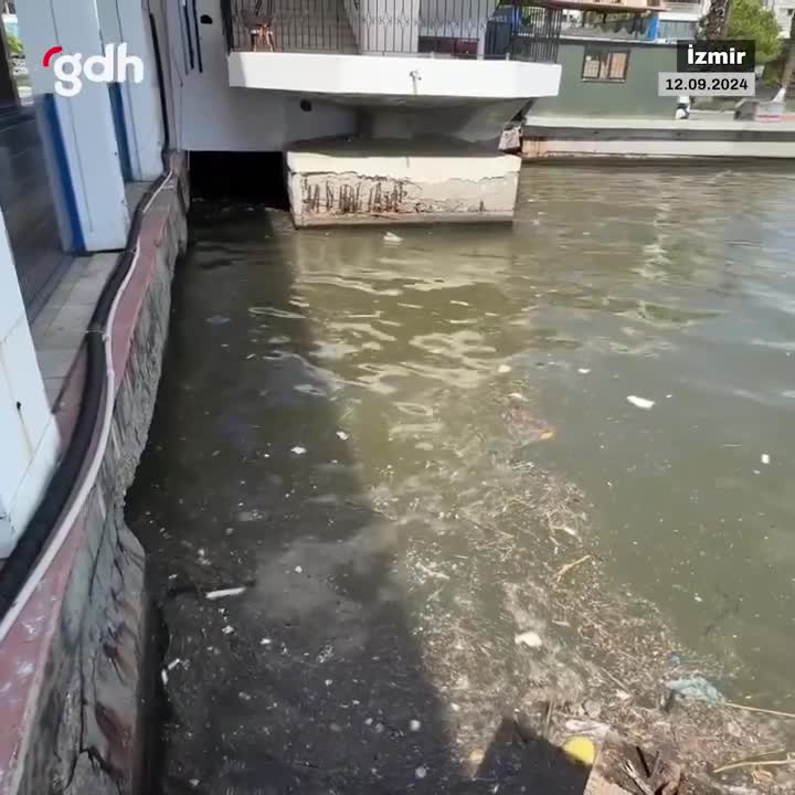 İzmir Körfezi'nde atık kirliliği gündemi sarstı