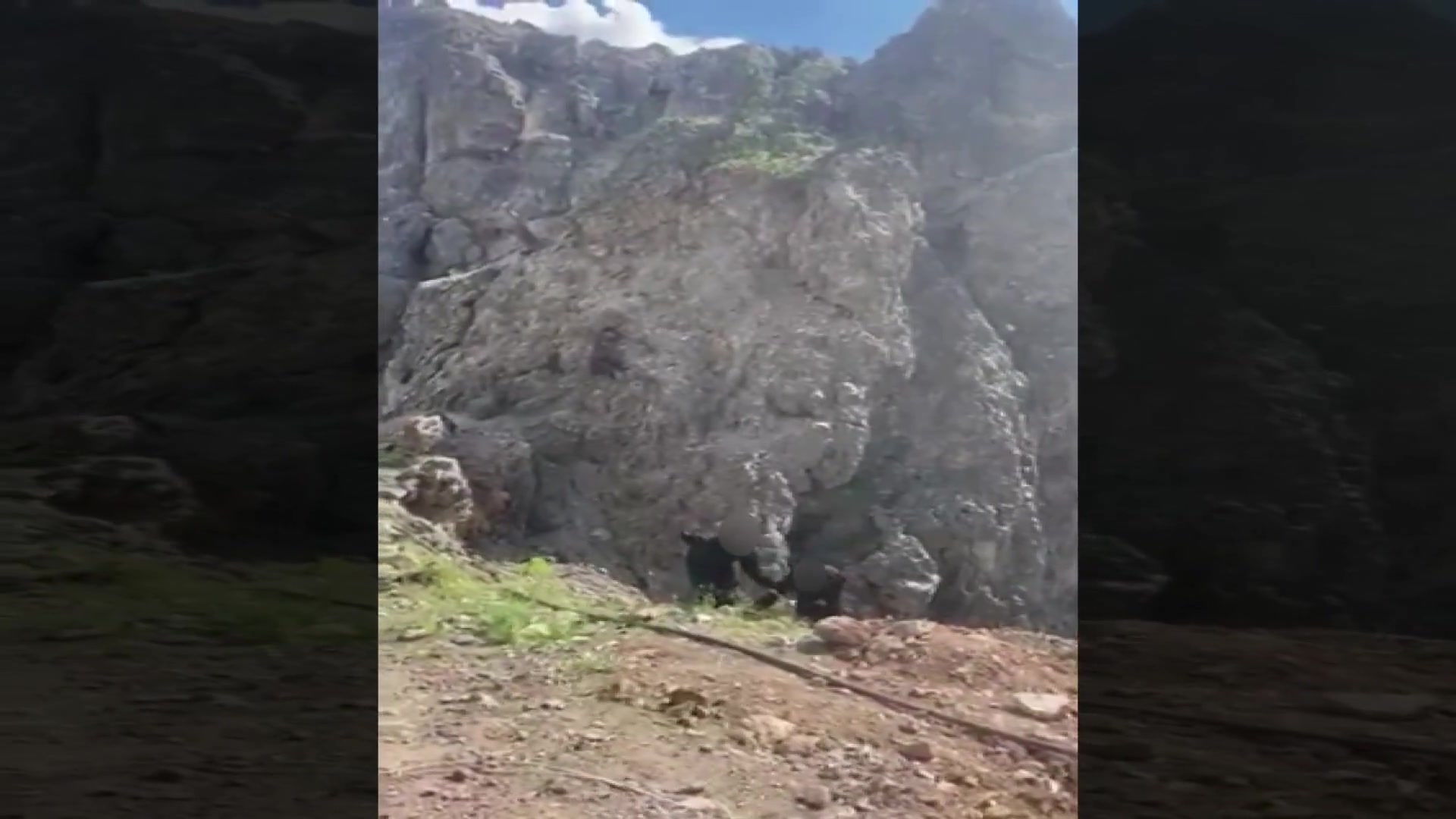 Milli Savunma Bakanlığı, Irak'taki PKK'lı teröristlerin teslim anını paylaştı