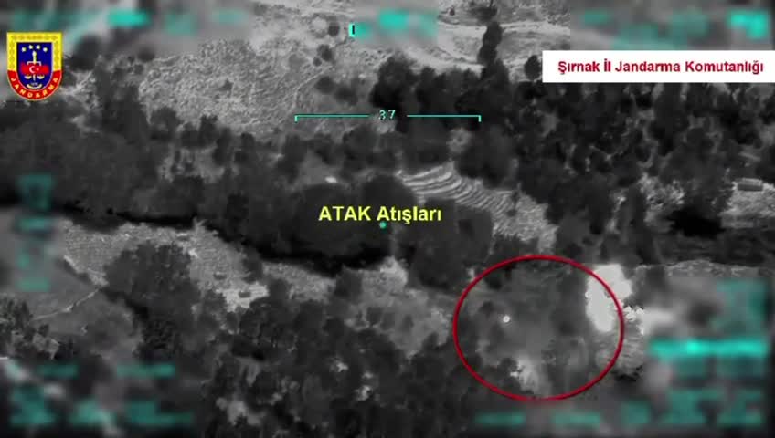 Beytüşşebap'ta "Bozdoğan-44" operasyonunda 4 terörist etkisiz!