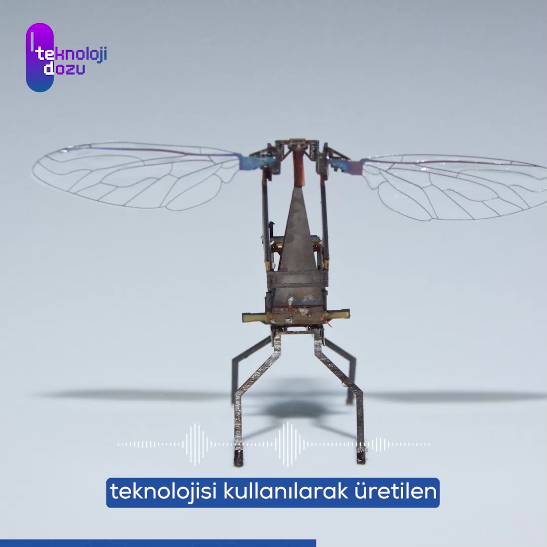 RoboBee: Doğadan ilham alan mikro teknoloji harikası