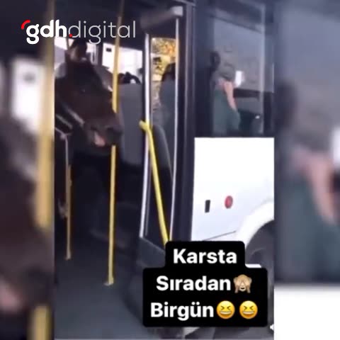 Kars'ta bir vatandaşın atın tepesinde otobüse bindiği anlar