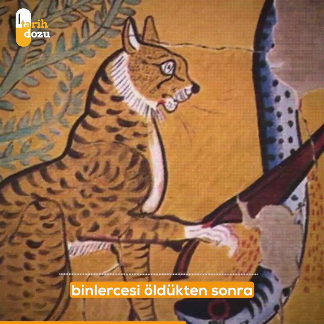 Antik Mısır’ın kedilere olan hayranlığının nedenleri