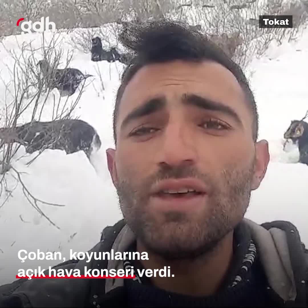 Tokat'ta Çoban Koyunlarına Kar Yağışında Konser Verdi