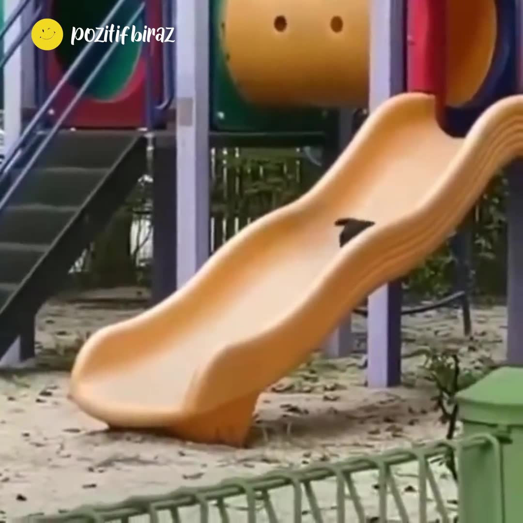 Güne bu pozitif video ile başlayalım!
