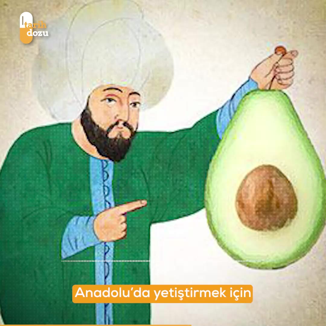 Avokado Lale Devri'nde Osmanlı'da nasıl meşhur oldu?