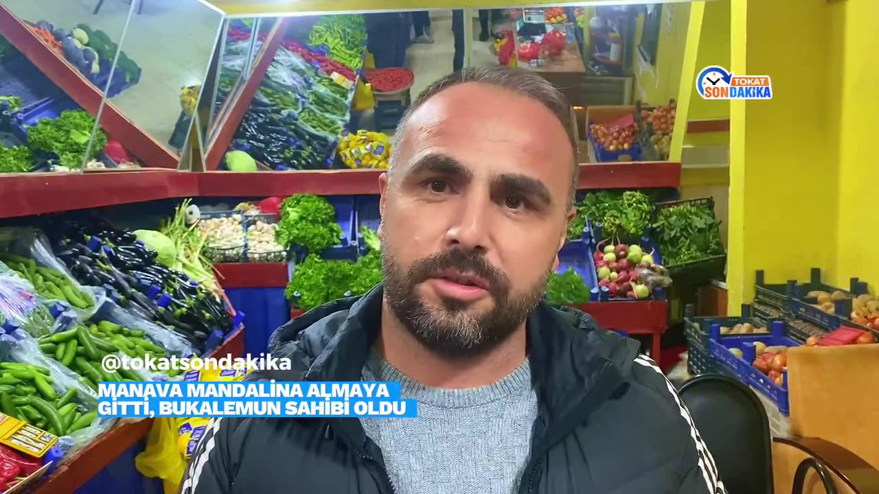 Tokat'ta esnaf mandalina alırken yavru bukalemun buldu