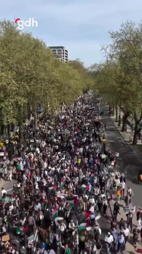 Londra'da "Özgür Filistin" eylemi: İsrail silah satışına protesto