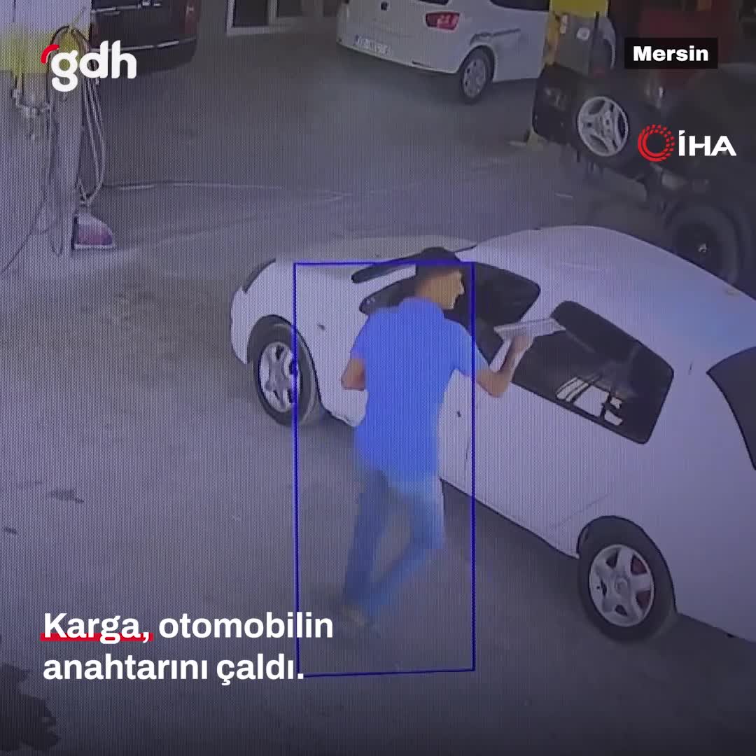 Mersin'de karga, iş yerindeki otomobil anahtarını çaldı!