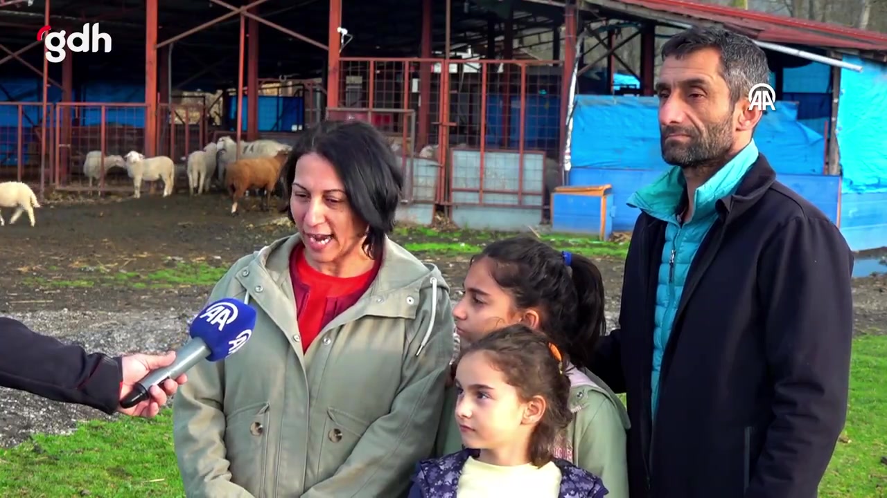 Düzce'de Figen ve Kadir Ayyıldız çifti koyun besiciliğine başladı
