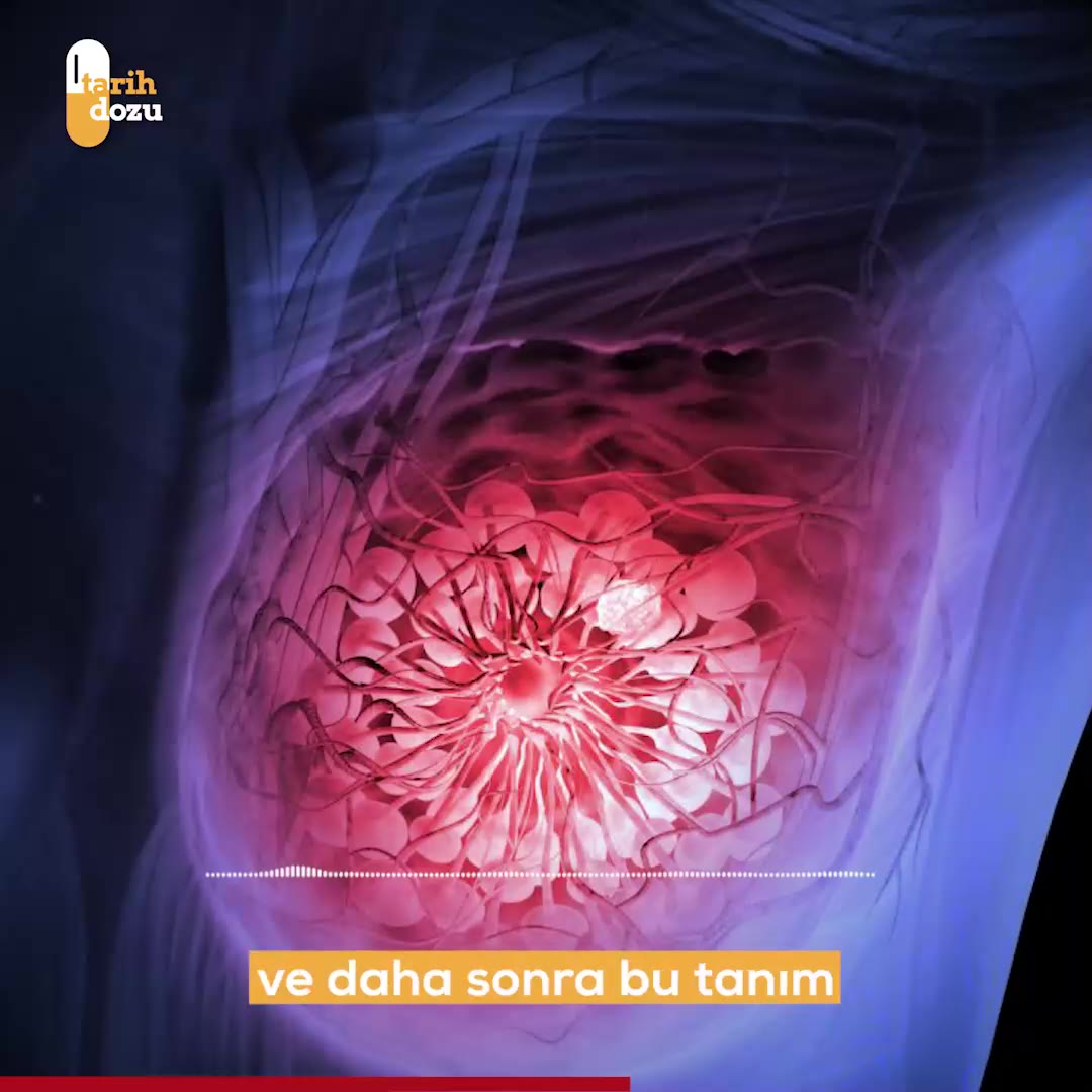 Kanserin Tarihi ve Yengeç Bağlantısı
