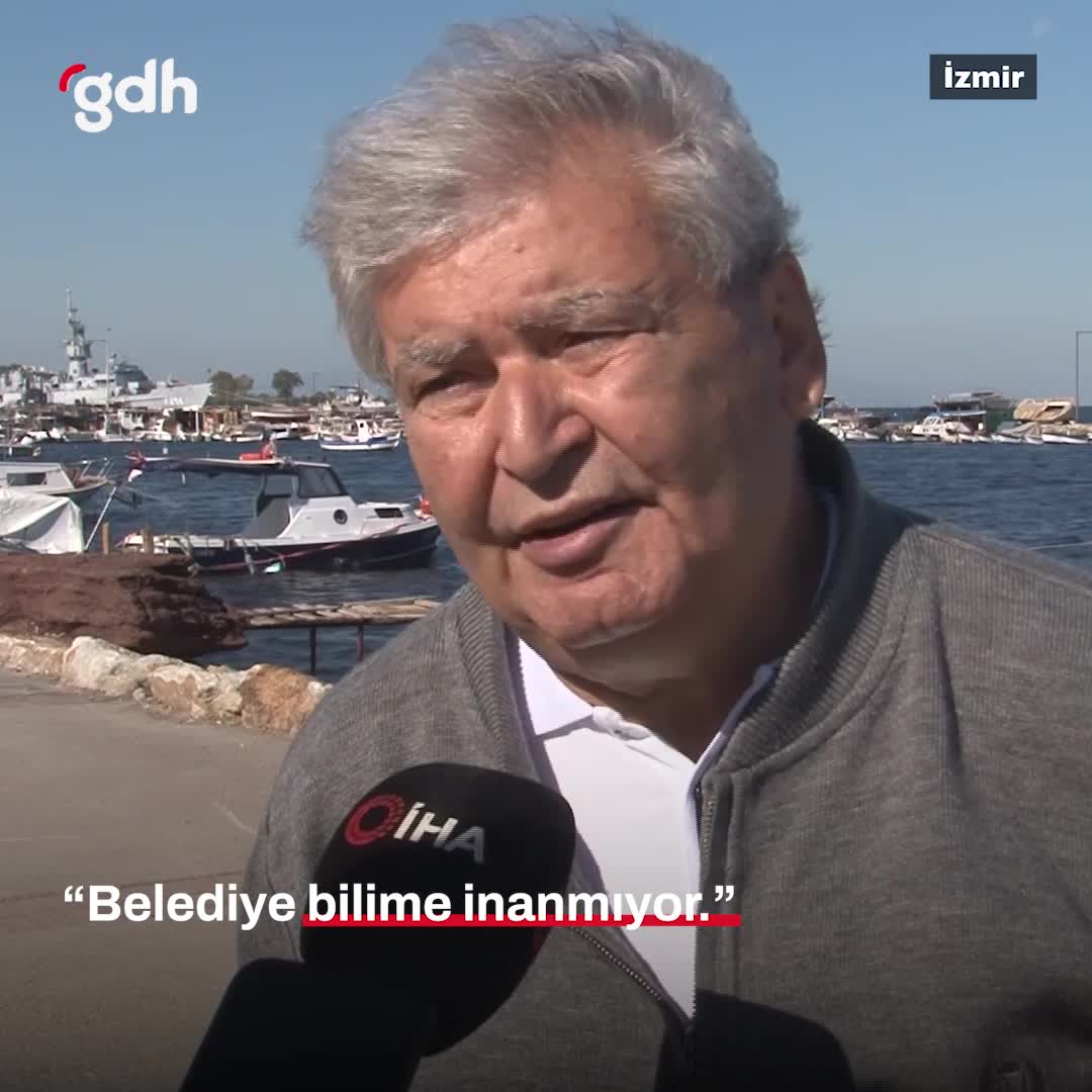 İzmir Körfezi'nde balık ölümleri: Bilim yok, çözüm yok!