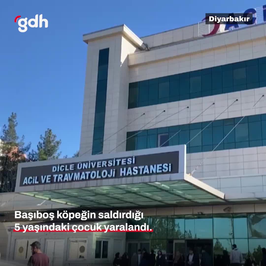 Diyarbakır'da başıboş köpek 5 yaşındaki çocuğu yaraladı