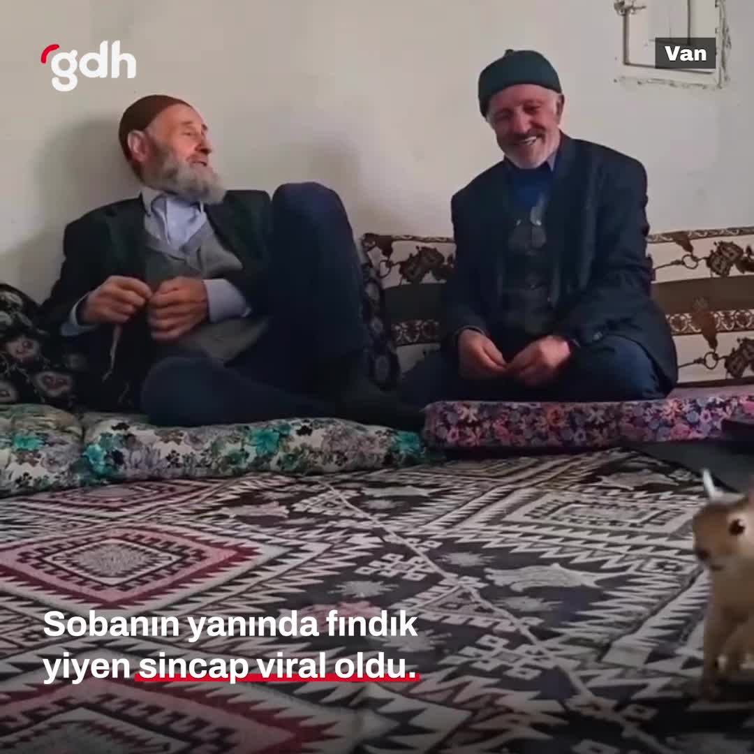 Van'da soba başında fındık yiyen sincap viral oldu