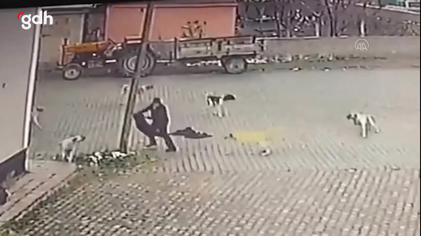 Nevşehir'de 69 yaşındaki adam, sahipsiz köpeklerden kaçtı