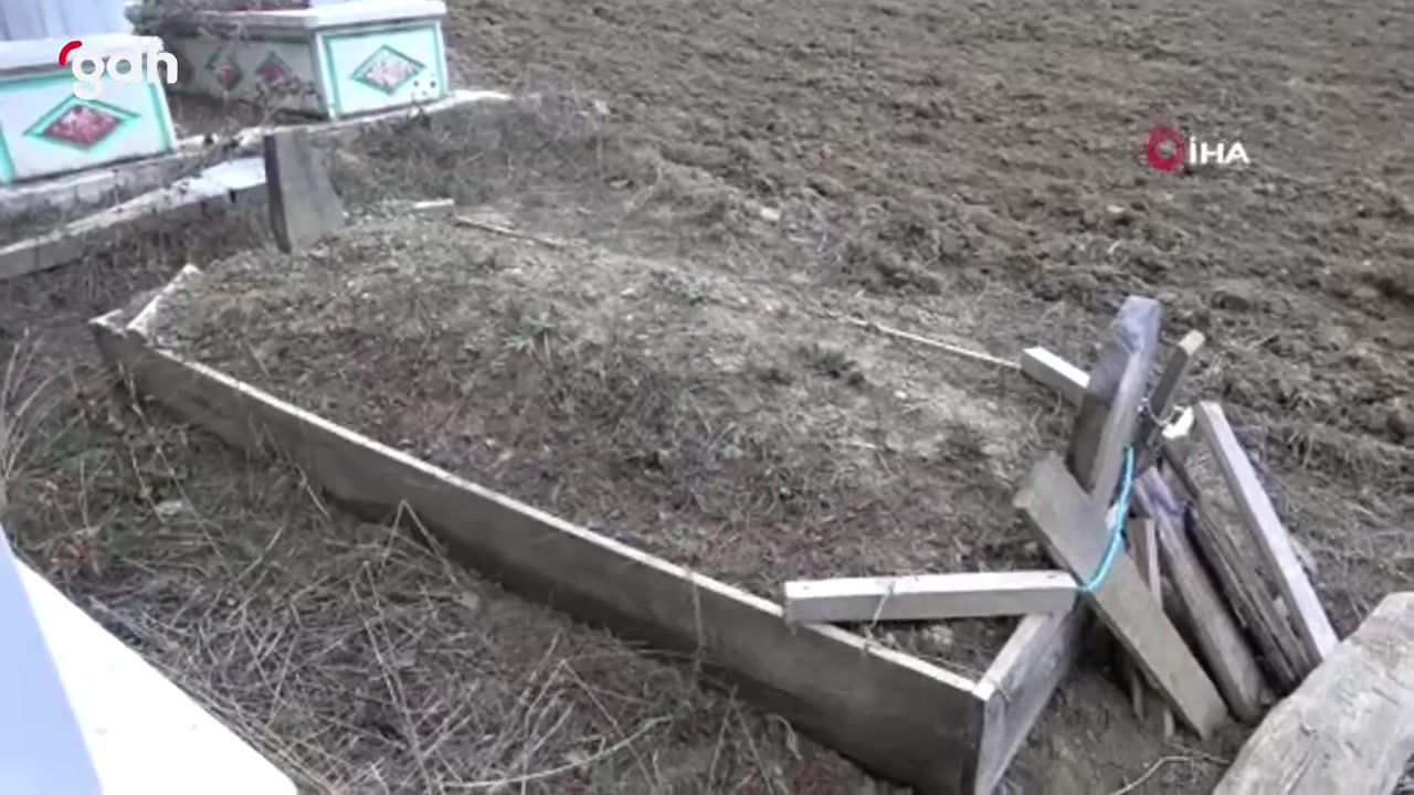 Ağlı'da ayılar yeni mezarları kazıyor, vatandaşlar çözüm istiyor