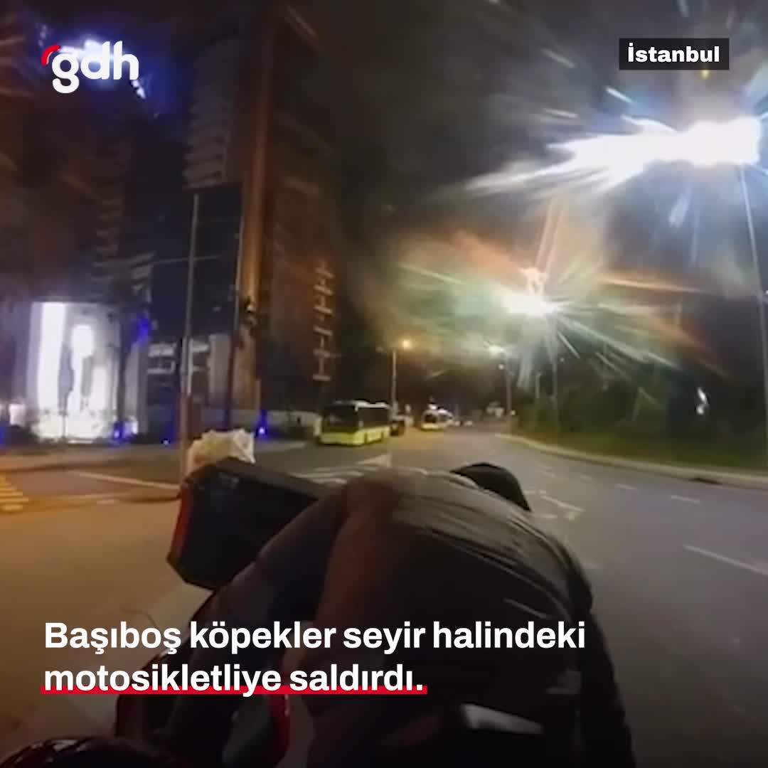 Sarıyer'de başıboş köpek motosikletliye saldırdı