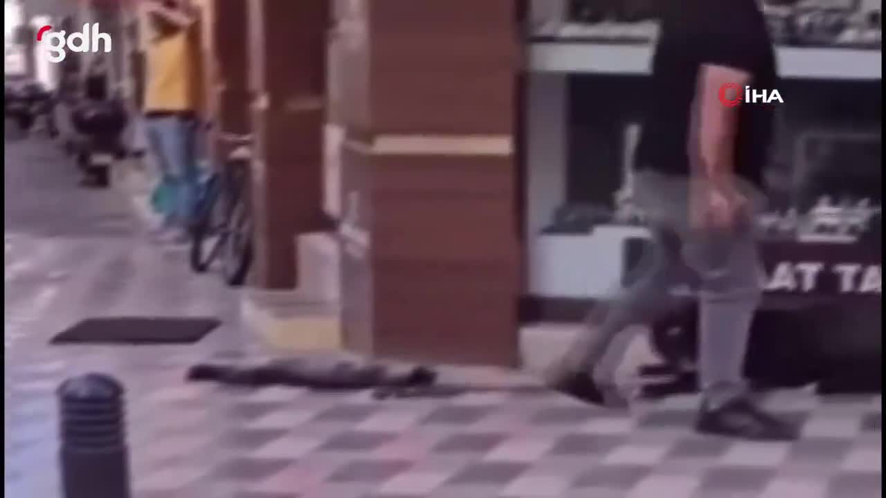 İzmir'de yasak köpek kedi öldürdü, sahibi gözaltında